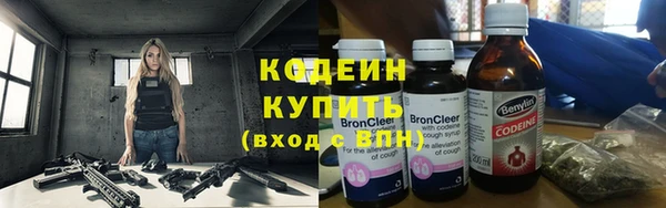 прущие грибы Абаза