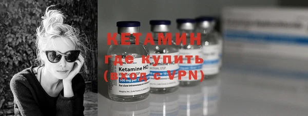 прущие грибы Абаза