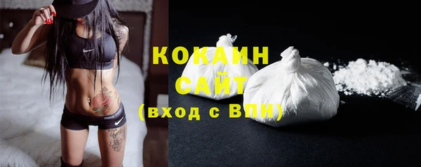 прущие грибы Абаза