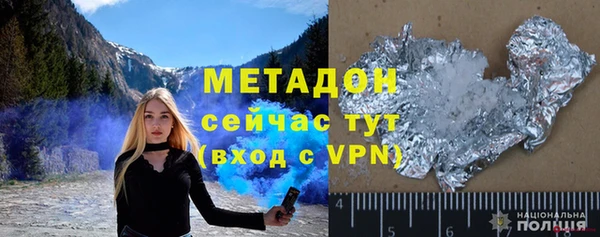 прущие грибы Абаза