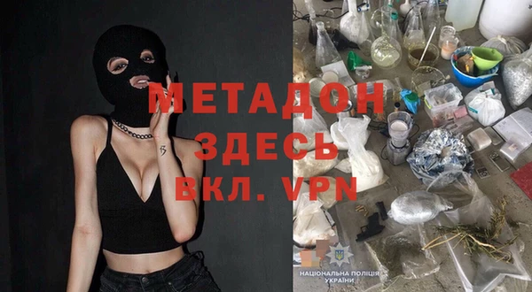 прущие грибы Абаза