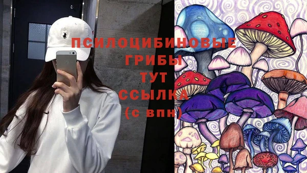 прущие грибы Абаза