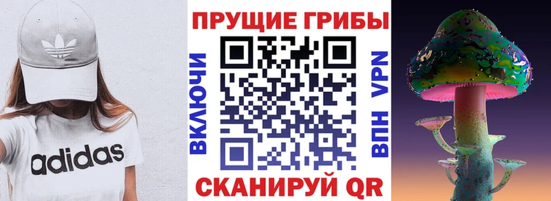 Псилоцибиновые грибы прущие грибы  Урус-Мартан 